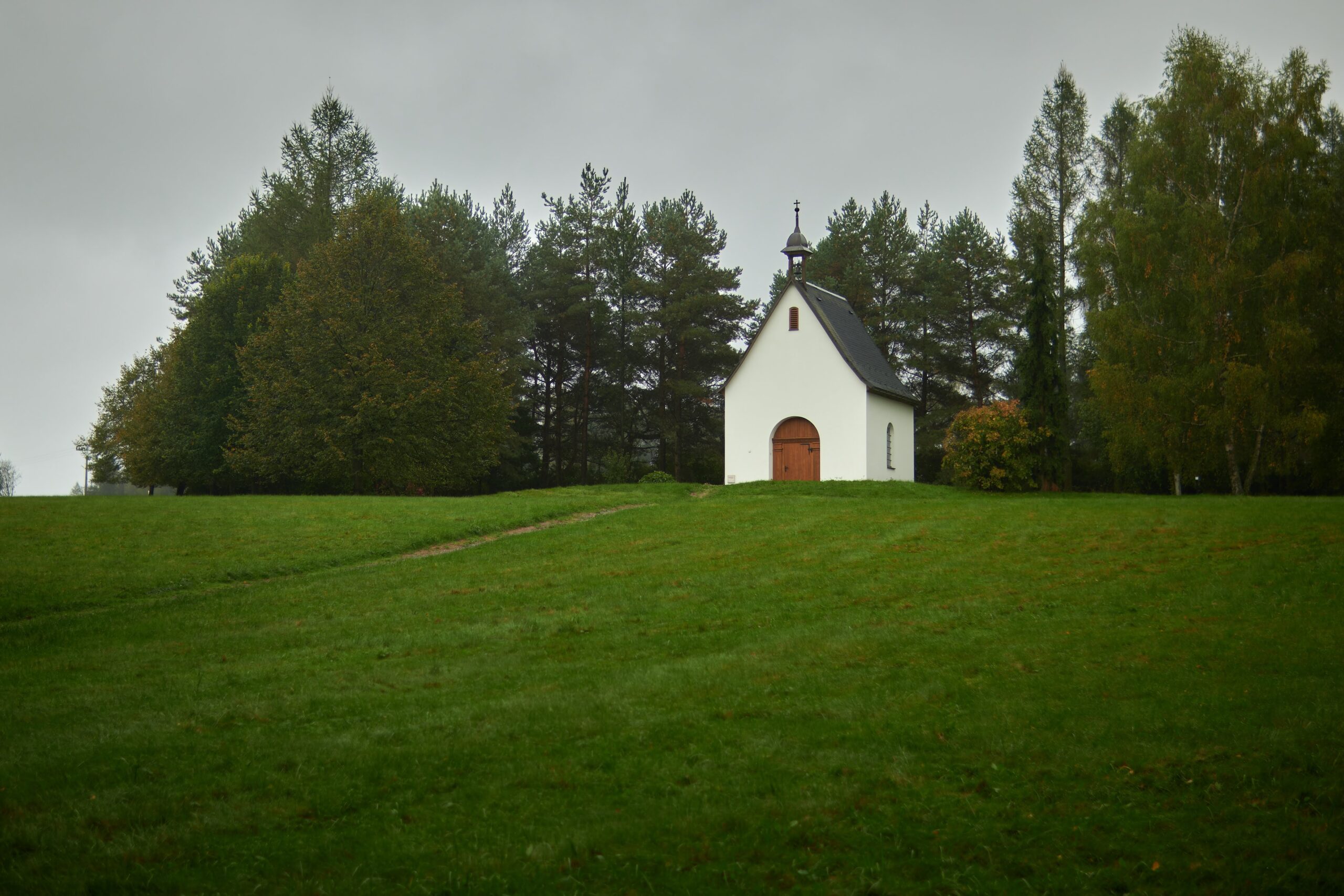 DSC_1138-NEF_DxO_DeepPRIME